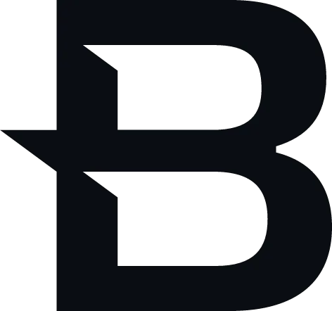 Blueberry logo